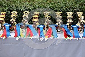 Awards waiting to be assigned after equitation event