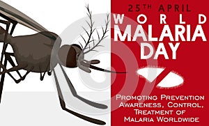 Awareness Design in World Malaria Day with Mosquito and Plasmodium, Vector Illustration