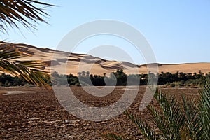 Awbari oasis