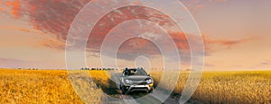 AWD 4WD SUV green car in summer meadow landscape in summer wheat field countryside landscape