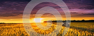 AWD 4WD SUV green car in summer meadow landscape in summer wheat field countryside landscape. Sunset sky background