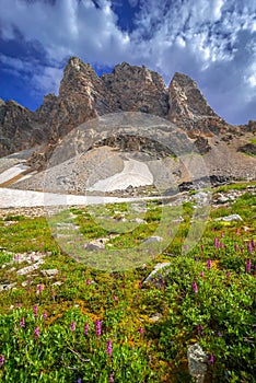 Awe Inspiring Grand Teton Landscape