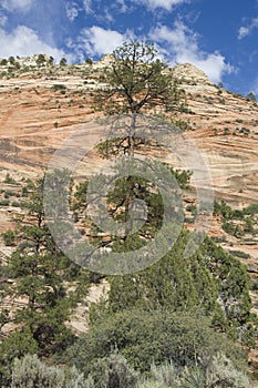 Awe-inspiring rock formations in Bryce Canyon National Park