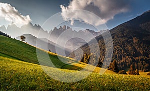 Awesome alpine highlands in sunny day. Alps mountain meadow tranquil summer view. Landscape with Fresh grass, perfect sky and rock