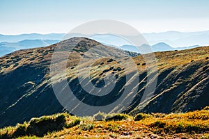 Awesome alpine highlands sunny day. Location Carpathian national park, Ukraine, Europe