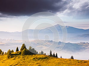 Awesome alpine highlands in sunny day. Location Carpathian national park, Ukraine, Europe