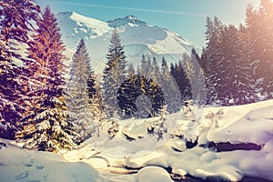 Awesome alpine highlands in sunny day. Panoramic view of beautiful winter wonderland forest. scenery with traditional mountain