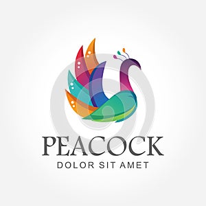 Awesome colorful gradient peacock logo design beautiful bird vector ready to use