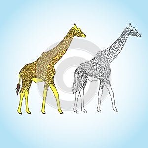 Awesome Giraffe vector image with line art image