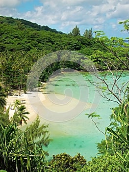 Awesome hidden polynesian beach