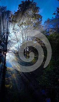 Awesome Jungle Sunrise