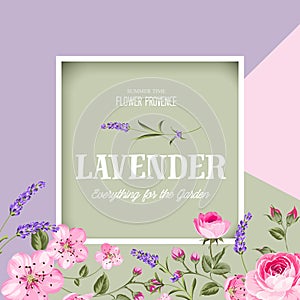 Awesome lavender label.