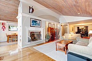 Awesome living room interior with sloped wooden ceiling.