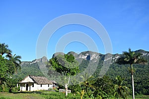 Awesome nature green ViÃÂ±ales valley Cuba photo