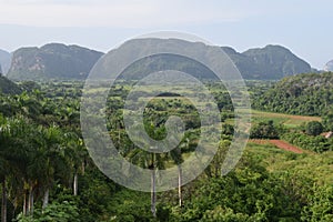 Awesome nature green ViÃ±ales valley Cuba