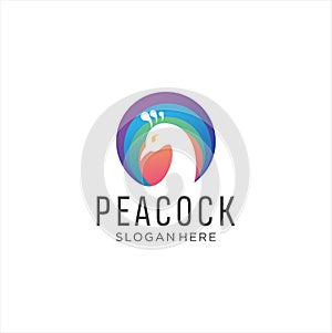 Awesome Peacock Logo Design Vector Stock Illustration