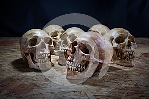Awesome pile of skull on a wooden table, Still Life