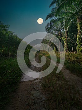 Awesome scene of the sky rural countryside pathway photo