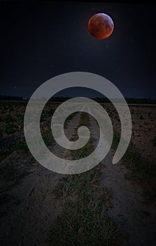 Awesome scene of the sky rural countryside pathway photo