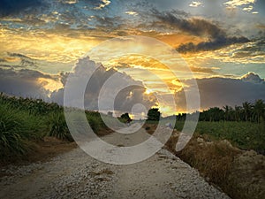 Awesome scene of the sky rural countryside pathway photo