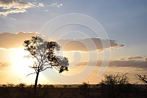 Awesome sunset in Kruger