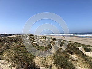 Awesome view of a beach captured by camera, USA