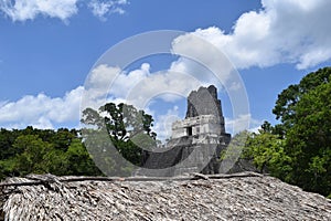 Awesome view Tikal Guatemala