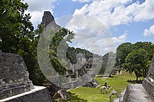 Awesome view Tikal Guatemala