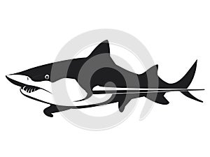 Awful shark in black and white