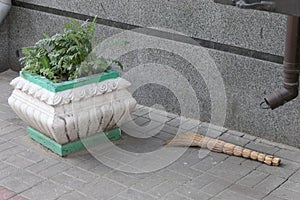 An awkward picture when a broom lies near a flowerpot with flowers.