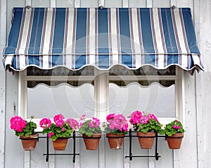 Awning with flowers photo