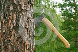 An ax and chopped wood