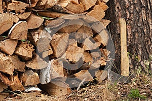 An ax and chopped wood