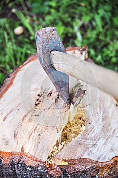 Ax cleaver stuck in a log.
