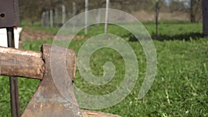 An ax cuts a log in half to light a barbecue grill