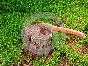 Ax for cutting wood in a tree stump.
