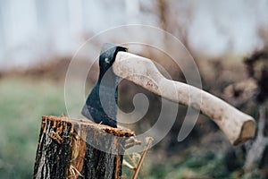 ax harvesting firewood for the fire nature close-up