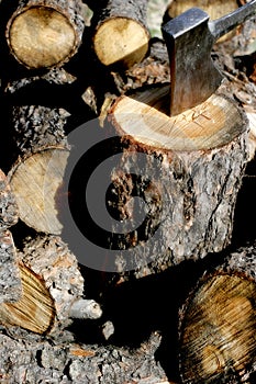 Ax Head & Chopped Wood