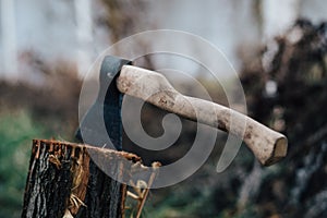 ax nature harvesting firewood for a fire in the forest