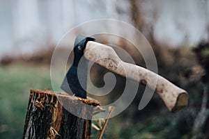 ax nature harvesting firewood for a fire in the forest