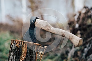 ax nature harvesting firewood for a fire in the forest