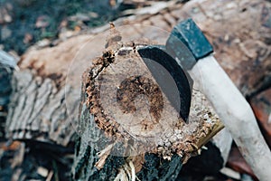 ax sticks out in the tree stump chopping firewood harvesting