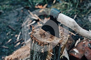 ax sticks out in the tree stump chopping firewood harvesting for the winter in the fresh air