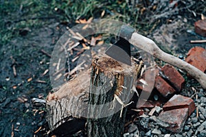 ax sticks out in the tree stump chopping firewood harvesting for the winter in the fresh air