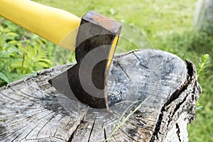 Ax stuck in stump