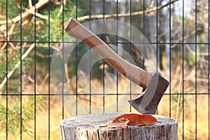 an ax stuck in a tree trunk.