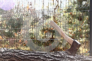 an ax stuck in a tree trunk