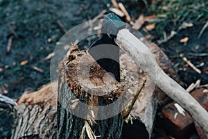 ax in the tree stump chopping wood outdoors travel