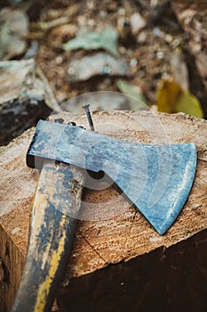 the axe on the big log