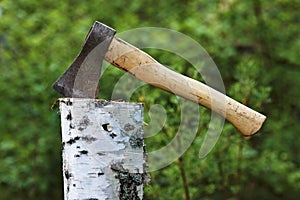 Axe in Birch log